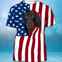 BIT0403 Dachshund Opened Flag USA 3D HOODIE