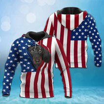 BIT0403 Dachshund Opened Flag USA 3D HOODIE