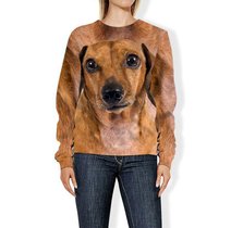 CHTL0115 Dachshund 3D HOODIE