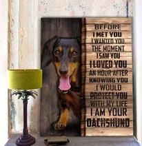CHD0105 Dachshund Matte Canvas