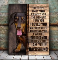 CHD0105 Dachshund Matte Canvas