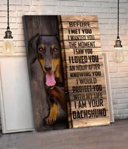 CHD0105 Dachshund Matte Canvas