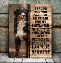 CHD0103 Bernese Mountain Matte Canvas