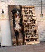 CHD0103 Bernese Mountain Matte Canvas
