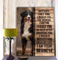 CHD0103 Bernese Mountain Matte Canvas