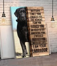 CHD0108 Labrador Retriever Matte Canvas