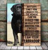 CHD0108 Labrador Retriever Matte Canvas