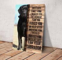 CHD0108 Labrador Retriever Matte Canvas