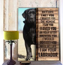 CHD0108 Labrador Retriever Matte Canvas