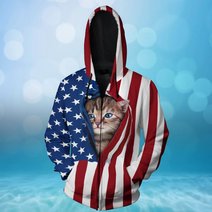 BIT0401 Cat Opened Flag USA 3D HOODIE