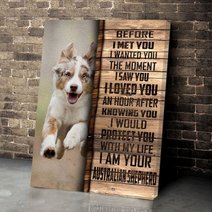 CHD0102 Australian Shepherd Matte Canvas