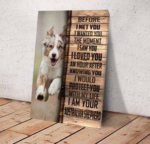 CHD0102 Australian Shepherd Matte Canvas