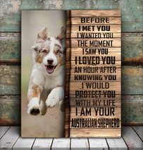 CHD0102 Australian Shepherd Matte Canvas