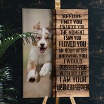 CHD0102 Australian Shepherd Matte Canvas