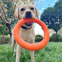 Dog Toy Training Ring Puller Puppy Flying Disk Chewing Toys Outdoor Interactive Toy Dog Game Playing Supplies Zabawki Dla Psa 2