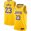 LeBron James Los Angeles Lakers Nike Youth 2018/19 Swingman Jersey Gold - Icon Edition