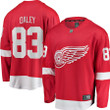 Trevor Daley Detroit Red Wings Fanatics Branded Youth Breakaway Player Jersey - Red