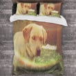 Golden Retriever Dog Sunshine Bedding Set Bed Sheets Spread Comforter Duvet Cover Bedding Sets