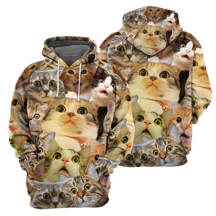 Amazing Cat - 3D All Over Printed Hoodie