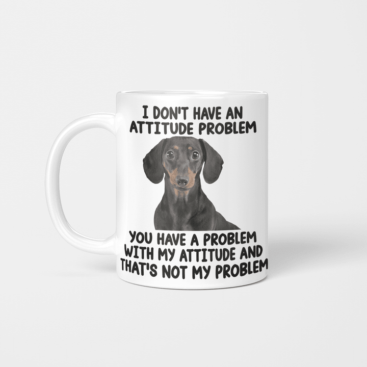 Mug | I Don't Have An Attitude Problem | TA2133