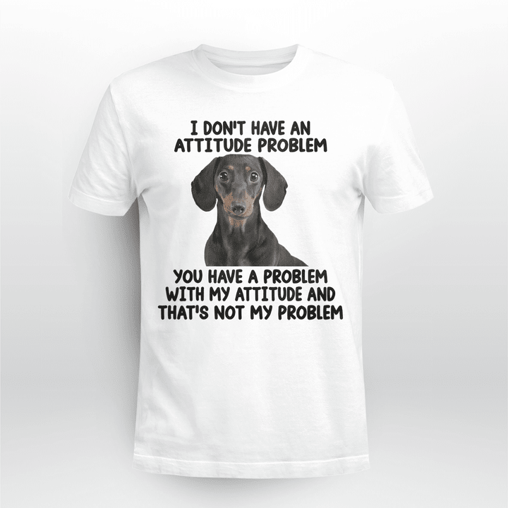 Unisex T-shirt | I Don't have an attitude problem | TS2105