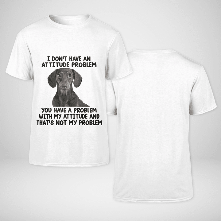 T - Shirt | I Don't Have An Attitude Problem | TA2132