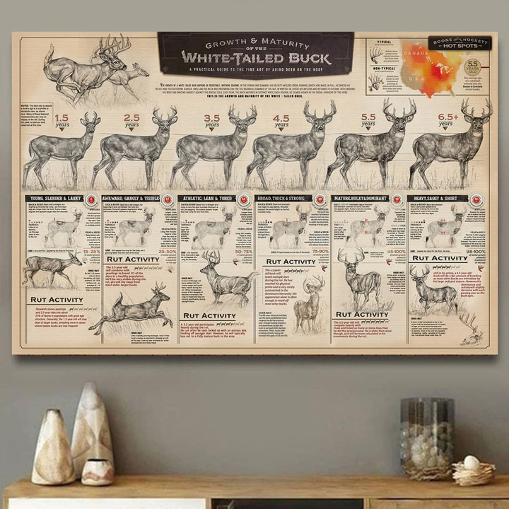 Deer Landscape Canvas | The Aging Of White – Tailed Buck | YO2218