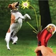 Dog Food Catapult Launcher | Pet Treat Launcher