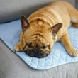 pet dog ice silk pad cooling mat