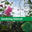 Nylon Trellis Netting | Plant Climbing Net