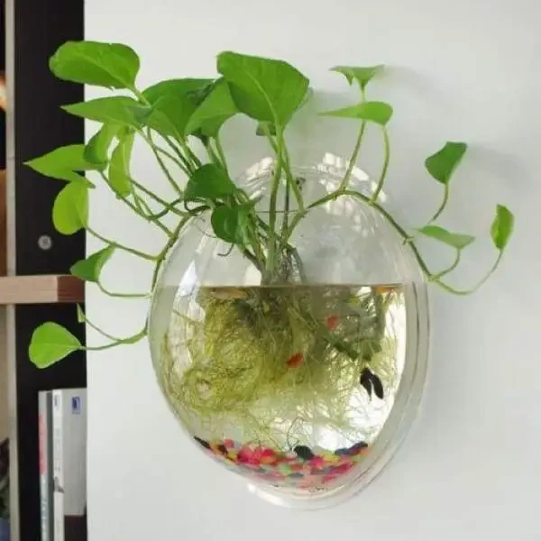 Borosilicate Glass Transparent Wall Plants Plant Pot | Wall Mounted Fish Tank