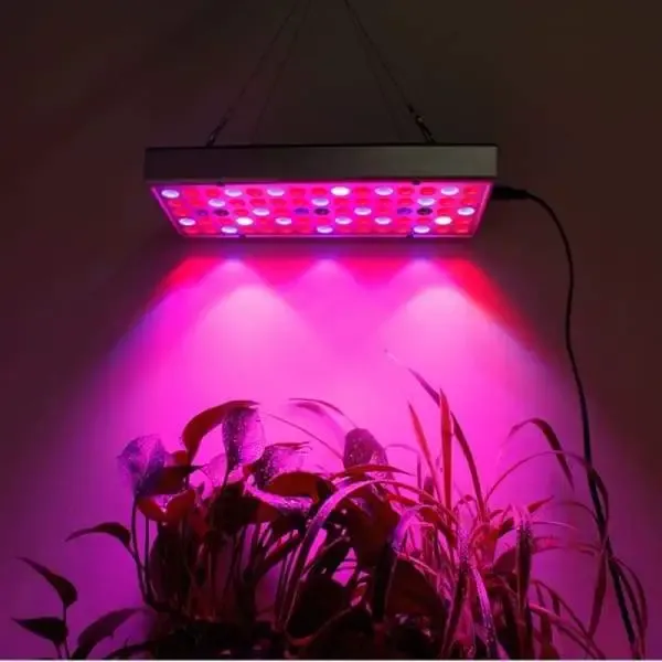 LED Grow Lights for Indoor Plants, Micro Greens, Seedlings