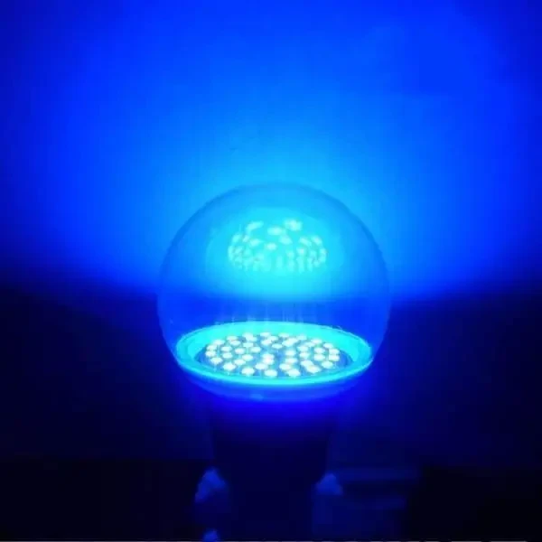 Indoor and Outdoor Insecticidal Lamp