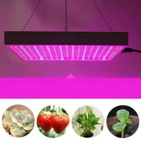led lamp to grow indoor plants | Grow Lights