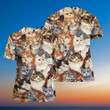 Cat Cute 3D All Over Print Hoodie Sweatshirt