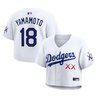 Women's Los Angeles Dodgers x KAWS Cropped Baseball Jersey - All Stitched