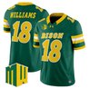 Men's North Dakota State Bison 2026 Vapor Limited Jersey - All Stitched