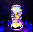 Exclusive LED Galaxy Rose In Glass