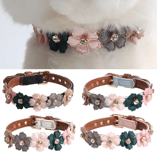Flower Dog Collar - Boxed Colors -