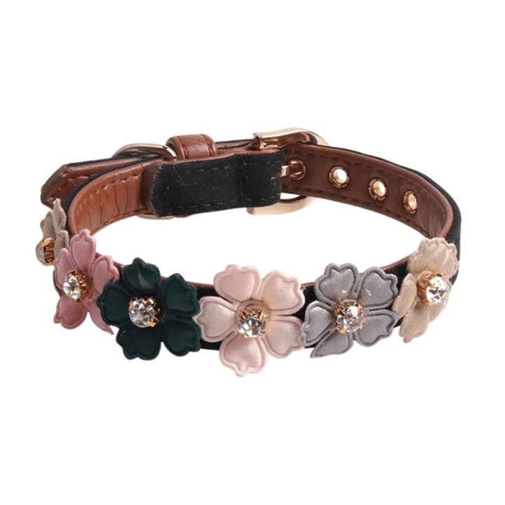 Flower Dog Collar - Boxed Colors -