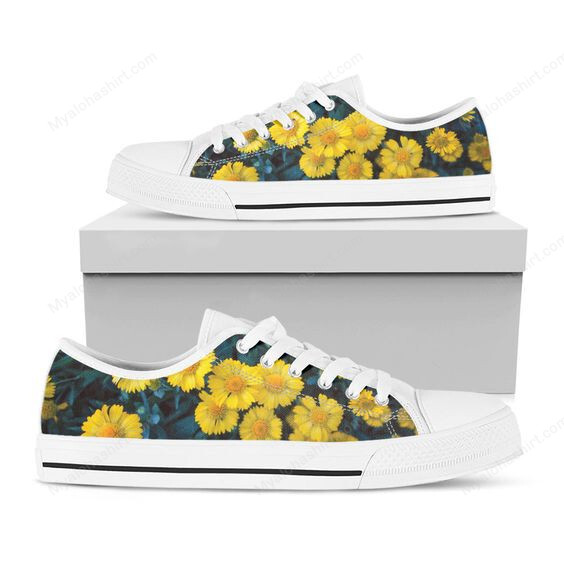 Floral Shoes, Daisy Low Top Shoes