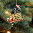 Cane Corso-Christams & New Year Two Sided Ornament