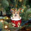 Corgi-In Christmas Pocket Two Sides Ornament