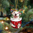WHITE Pitbulll-In Christmas Pocket Two Sides Ornament
