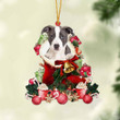 Pitbull 2-Red Boot Hanging Ornament