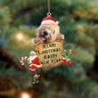 Wheaten Terrier-Christams & New Year Two Sided Ornament