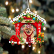 Pomeranian 2-Christmas House Two Sided Ornament