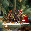 Barbet-Christmas Dog Friends Hanging Ornament