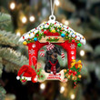Dachshund-Christmas House Two Sided Ornament