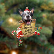 Heeler-Christams & New Year Two Sided Ornament